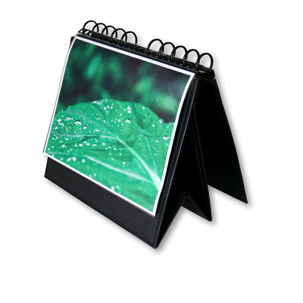 8.5"x11" Display Book - Easel Binder with Handle